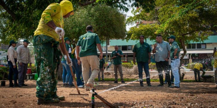 Maracaibo Verde: Alcaldía siembra mil metros de grama natural en Plaza de la República