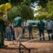Maracaibo Verde: Alcaldía siembra mil metros de grama natural en Plaza de la República