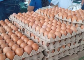 Feria Alimentaria del Sol beneficia a la comunidad del sector Panamericano con alimentos asequibles