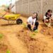 La agricultura echa raíces en la E.B.N Bicentenario José Antonio Páez gracias al programa Mi Conuco Escolar Carlos Lanz