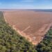 Brasil busca combatir y prohibir la deforestación ilegal de la Amazonía