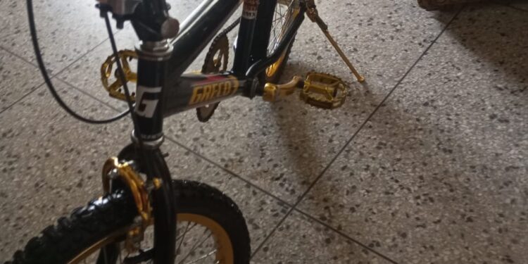 se vende bicicleta por no usar