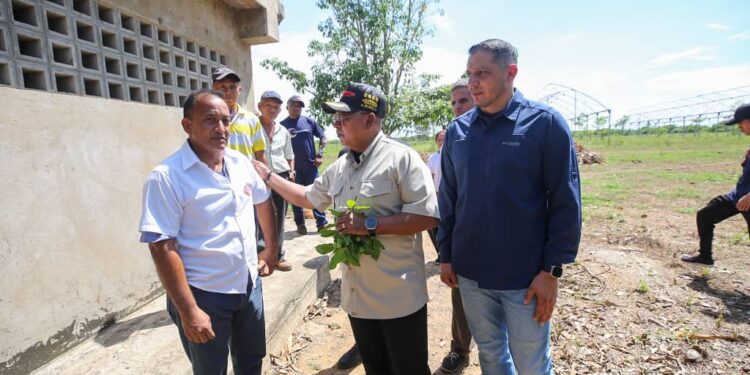 Corpozulia impulsa el desarrollo industrial con el fortalecimiento de empresas agroalimentarias
