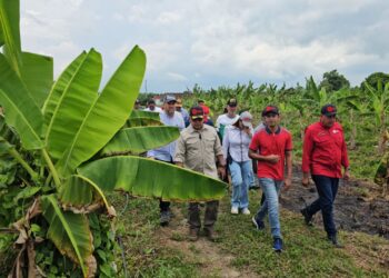 Gobierno Bolivariano y productores agrícolas unen fuerzas para reimpulsar el sector en el Zulia