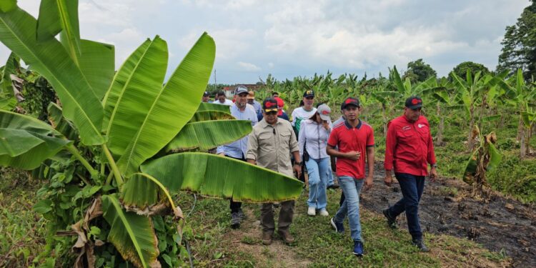 Gobierno Bolivariano y productores agrícolas unen fuerzas para reimpulsar el sector en el Zulia