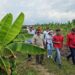 Gobierno Bolivariano y productores agrícolas unen fuerzas para reimpulsar el sector en el Zulia