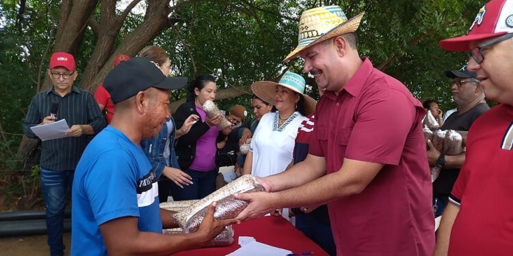 Más de 19 granjas en Mara producen Pollos de engorden para garantizar soberania alimentaria
