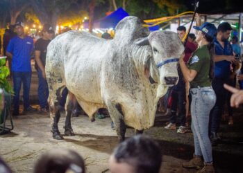 Rosales: “La XLVII Feria Expocomercial y Ganadera de la Villa resalta las potencialidades económicas y agropecuarias de Rosario de Perijá”