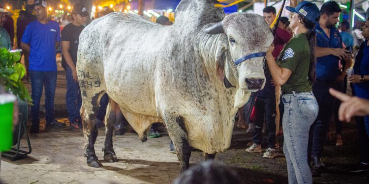 Rosales: “La XLVII Feria Expocomercial y Ganadera de la Villa resalta las potencialidades económicas y agropecuarias de Rosario de Perijá”