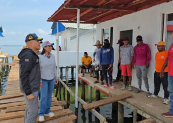 Atención social | Gobierno Bolivariano realiza trabajos de restauración en viviendas y puente de Santa Rosa de Agua