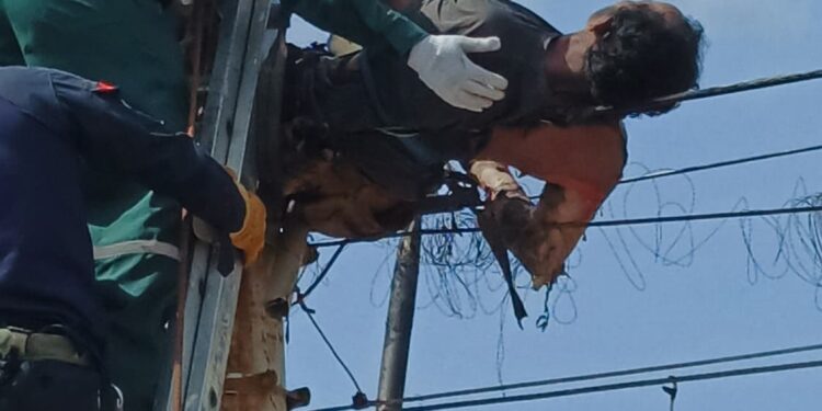 UN HOMBRE QUEDA PEGADO EN UN POSTE DE LUZ CUANDO TRATO DE PONER LA Electricidad de Contrabando
