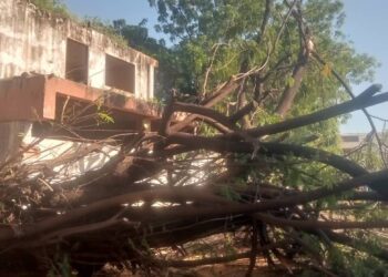 Gobierno Regional activa operativo de saneamiento en la urbanización El Varillal de Maracaibo tras fuertes lluvias
