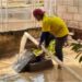 Plan de Respuesta Inmediata atiende inundaciones en viviendas en el barrio La Rinconada de Maracaibo