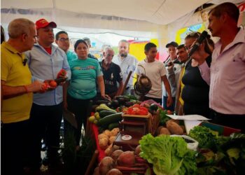 La Fuerza de las Comunas: Táchira en Marcha hacia el Gobierno Popular
