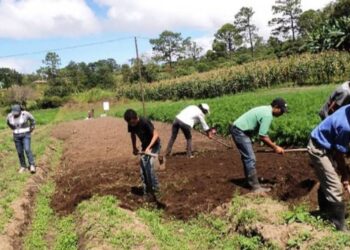 Maduro Conmemora el Día Mundial de la Lucha Campesina, Reafirmando el Compromiso con la Producción Agrícola