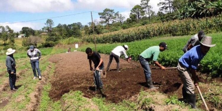 Maduro Conmemora el Día Mundial de la Lucha Campesina, Reafirmando el Compromiso con la Producción Agrícola