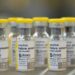 Alerta Sanitaria! Gobierno despliega campaña masiva de vacunación contra la fiebre amarilla y otras enfermedades cruciales