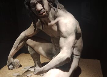 El Museo Arqueológico Nacional reabre sus puertas tras una completa restauración