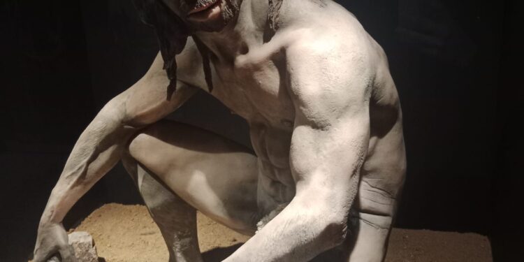 El Museo Arqueológico Nacional reabre sus puertas tras una completa restauración