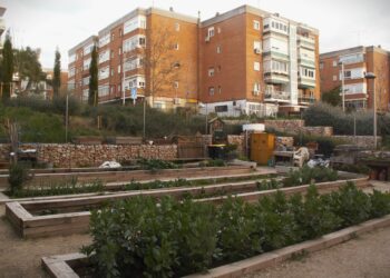 Vecinos de Sanchinarro impulsan la creación de un nuevo huerto urbano