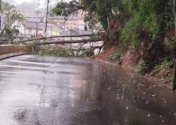 se cae un árbol y cierra la via hacia san Antonio los Teques…..