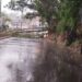 se cae un árbol y cierra la via hacia san Antonio los Teques…..