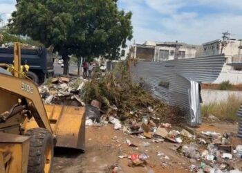 Seis mil contenedores y dos mil salserines incluye el plan de recolección de basura, anuncia Di Martino