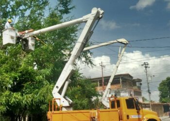 CORPOELEC realizará jornada de control de vegetación en 12 municipios de los estados Falcón, Lara y Zulia