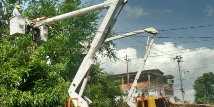 CORPOELEC realizará jornada de control de vegetación en 12 municipios de los estados Falcón, Lara y Zulia