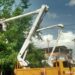 CORPOELEC realizará jornada de control de vegetación en 12 municipios de los estados Falcón, Lara y Zulia