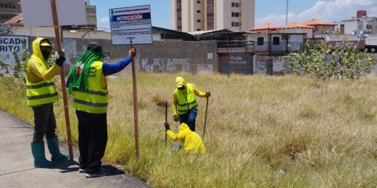 Dueños de terrenos abandonados deben acudir al IMA para ponerse a derecho