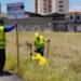 Dueños de terrenos abandonados deben acudir al IMA para ponerse a derecho