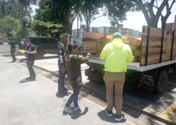 Incautan madera de procedencia ilegal y detienen a siete personas en Mérida