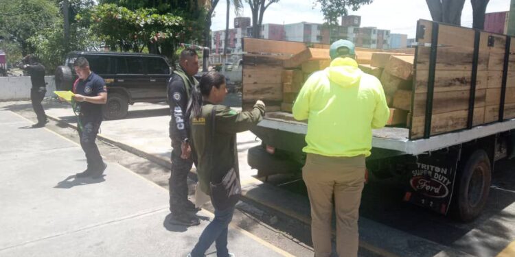 Incautan madera de procedencia ilegal y detienen a siete personas en Mérida