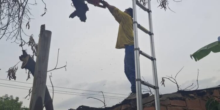 Cañadas fluyeron con normalidad a pesar de la fuerte lluvia registrada hoy en Maracaibo