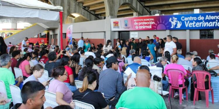 258 mascotas fueron esterilizadas en la jornada “Castralat 2025”