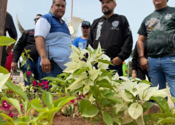 En tan solo una semana: Alcaldía de San Francisco recolectó 900 toneladas de desechos sólidos