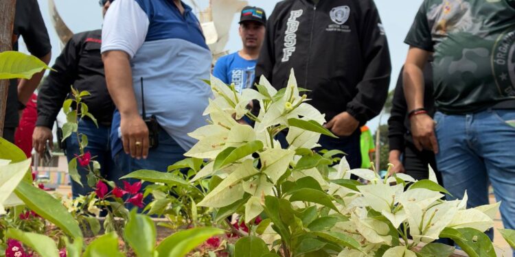 En tan solo una semana: Alcaldía de San Francisco recolectó 900 toneladas de desechos sólidos