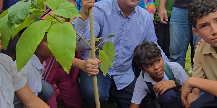 Con la siembra de más de 7 mil árboles el Zulia participa en la Jornada Nacional de Reforestación
