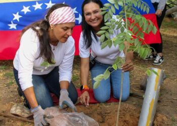 Alcaldía de Maracaibo se sumó a la “Jornada de reforestación nacional” en la Vereda del Lago