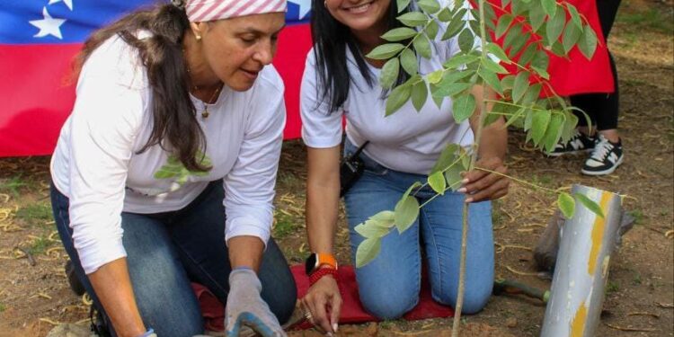 Alcaldía de Maracaibo se sumó a la “Jornada de reforestación nacional” en la Vereda del Lago