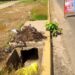 Una tonelada de desechos removió la Alcaldía de Maracaibo de drenajes en la Plaza Zapara