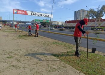 Jornada de arborización toma la avenida Delicias en despliegue coordinado por la Gobernación del Zulia
