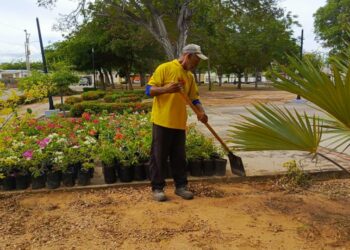 Instituto Municipal del Ambiente realiza siembra de árboles en Parque El Bosque, parroquia Raúl Leoni