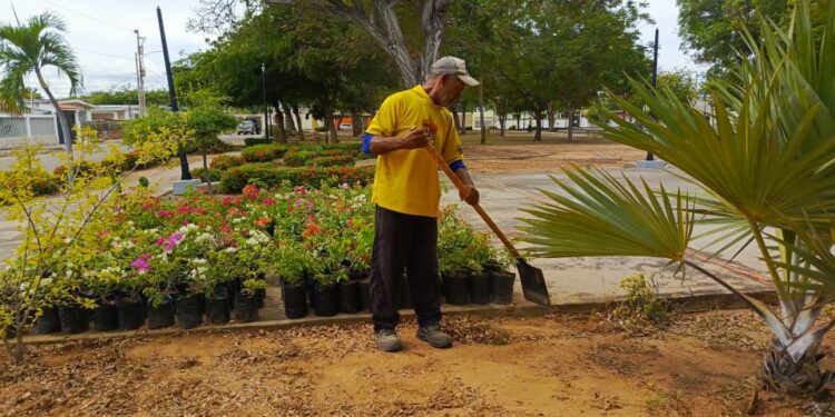 Instituto Municipal del Ambiente realiza siembra de árboles en Parque El Bosque, parroquia Raúl Leoni