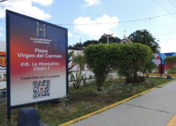 Plaza Virgen del Carmen es arborizada por el IMA
