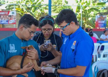 IMPA lleva atención veterinaria gratuita a las comunidades de Maracaibo