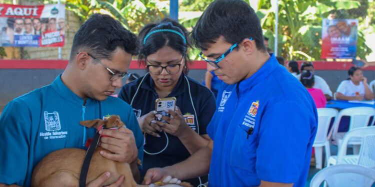 IMPA lleva atención veterinaria gratuita a las comunidades de Maracaibo