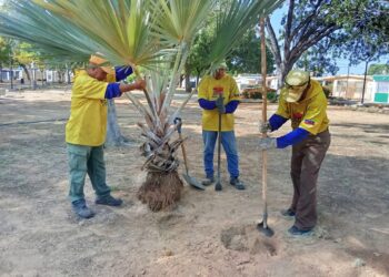 Alcaldía de Maracaibo trabaja en la recuperación integral de la Plaza El Bosque