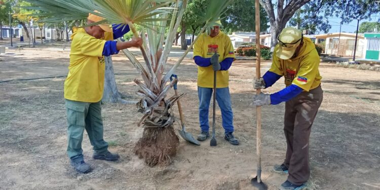 Alcaldía de Maracaibo trabaja en la recuperación integral de la Plaza El Bosque